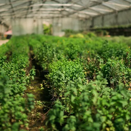 Farma Fondo Brugarolo