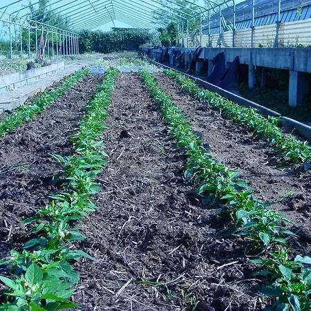 Farma Fondo Brugarolo Busnago