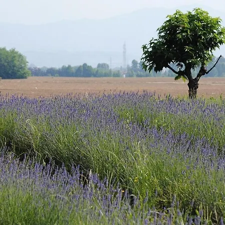 Farma Fondo Brugarolo